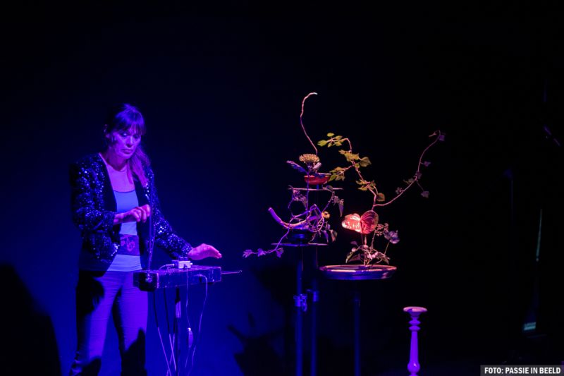 B Fay en Planten Five-Spices-47-_DSC0677.jpg